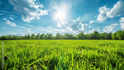 The sun shines through the clouds  casting a warm glow on a lush grassy field