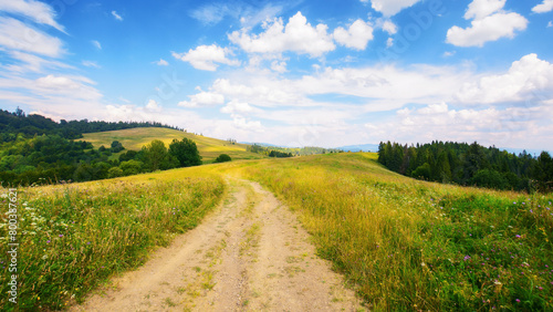 rural road through green meadows on rolling hills. hiking through carpathian rural area. mountain landscape in summer on a sunny day. ridge in the distance
