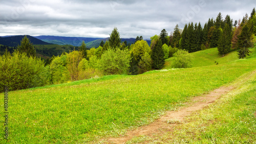 path through the grassy meadow. forested rolling hills. carpathian countryside landscape on a cloudy day in spring
