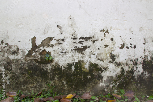 A dirty old wall with cracks and dry leaves.