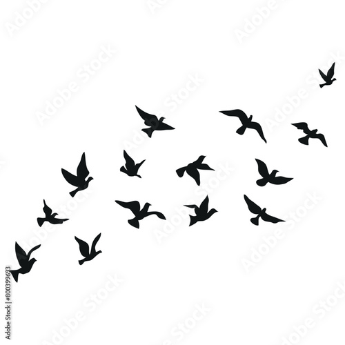 flying birds silhouette set clipart isolated on white background