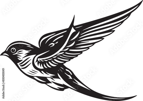 Swallow Bird Vector