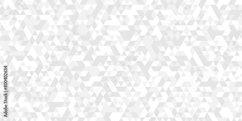 Vector geometric seamless technology gray and white triangle background. Abstract digital grid light pattern white Polygon Mosaic triangle Background, business and corporate background.