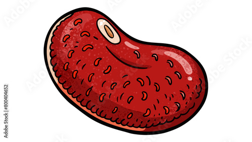 A large kidneyshaped bean with a rough textured skin and a deep red hue. It has a dense meaty texture and a rich earthy flavor.  on white. Cartoon Vector. photo