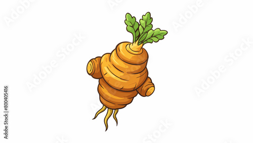 A potent ingredient that starts as a humble unassuming root and transforms into a flavorful aromatic powerhouse when cooked.  on white background . Cartoon Vector.