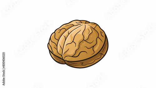 A small round nut with a hard wrinkled outer shell that is a light shade of brown. When cracked open the creamy white inside reveals a distinct. Cartoon Vector.