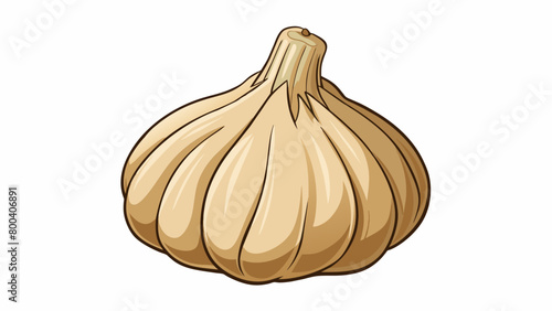 A wrinkled earthysmelling bulb with a rough scaly exterior and a satisfying crunch when sliced or minced.  on white background . Cartoon Vector.