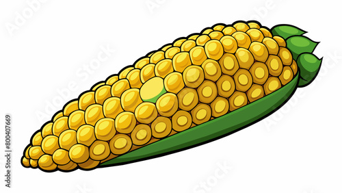 Looking like a miniature version of corn the sorghum cob is covered in rows of tightlypacked yellowish kernels.  on white background . Cartoon Vector.