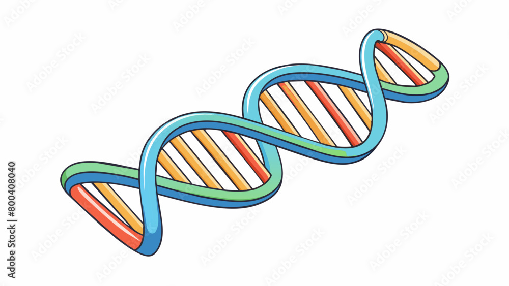 The DNA helix can be compared to a tightly coiled spring with each coil ...