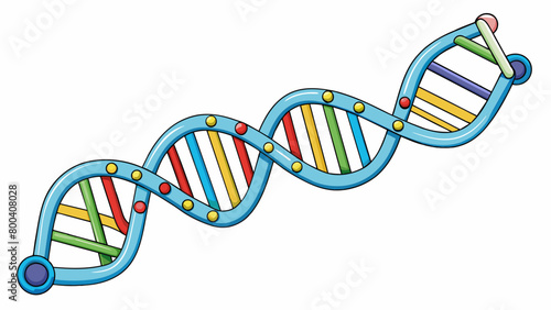 The DNA helix can be likened to a complex zipper with each tooth representing a specific pairing of nitrogenous bases. Just as a zipper holds two. Cartoon Vector.