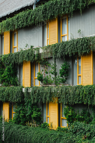A three-story building with a yellow exterior and green leaves growing up the side of the building © David