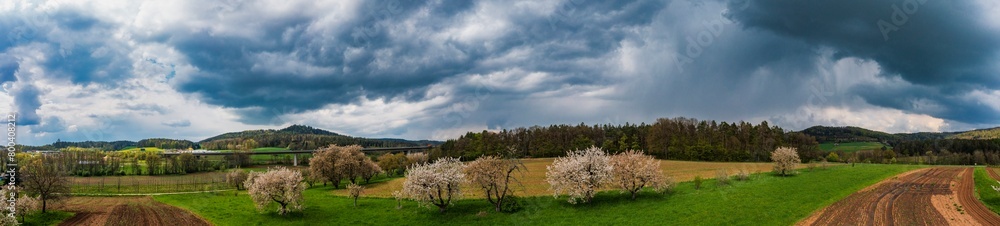Dramatic rain clouds over blooming cherry trees in an orchard in Upper Franconia/Germany