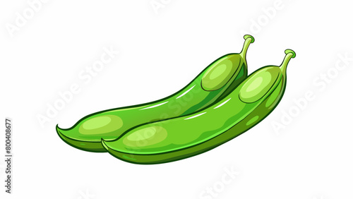 With a slightly glossy surface green beans have thin stringlike edges that can easily be removed by snapping them off.  on white background . Cartoon Vector.