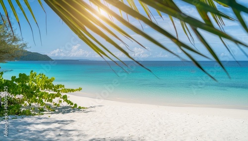 Beachside Serenity: Palm Leaf Shadow with Sunlit Waters