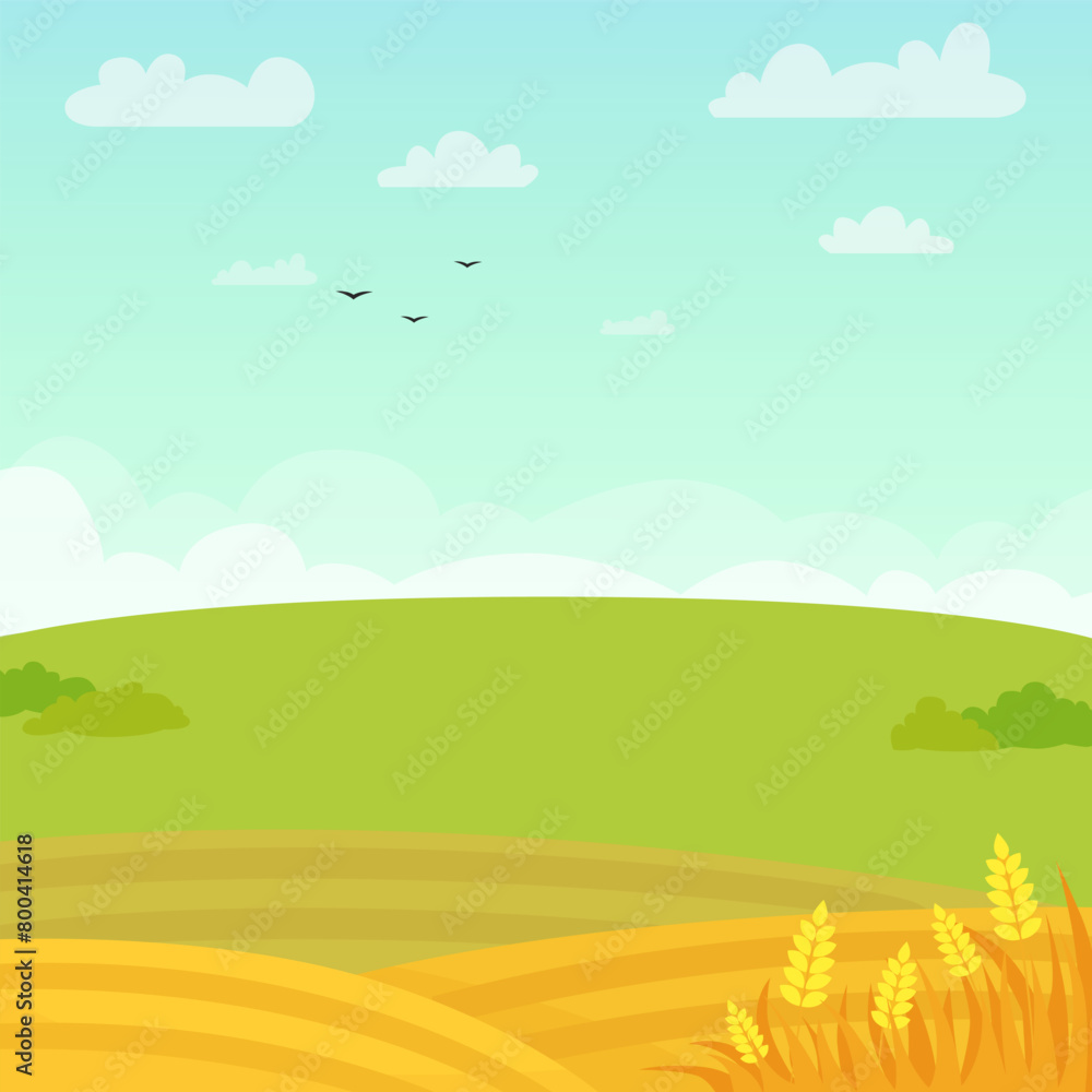 Obraz premium Countryside Summer rural landscape with grass and a flowers. Ecologically clean area with blue sky and clouds. Village in the summer sunny day. Green landscape with yellow fields.