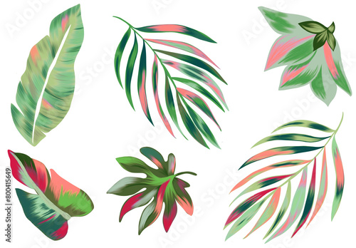 Set of illustrated leaves tropical