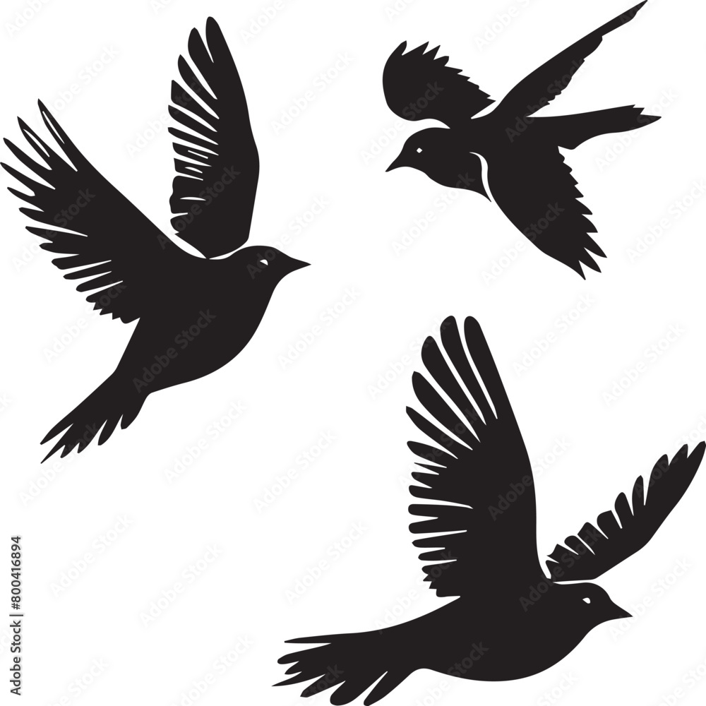 Fototapeta premium silhouettes of birds