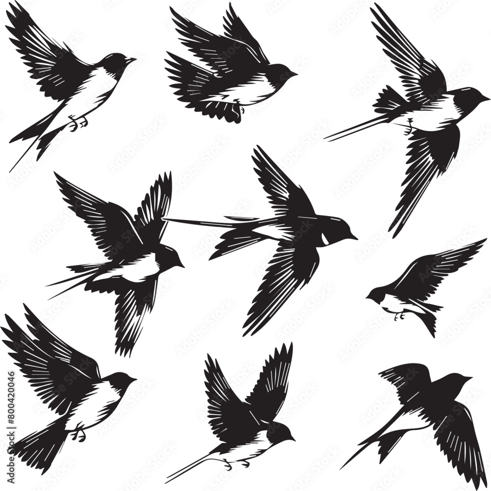 set of silhouettes of birds set of silhouettes of birds