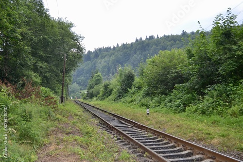 railway in the mountains and forest