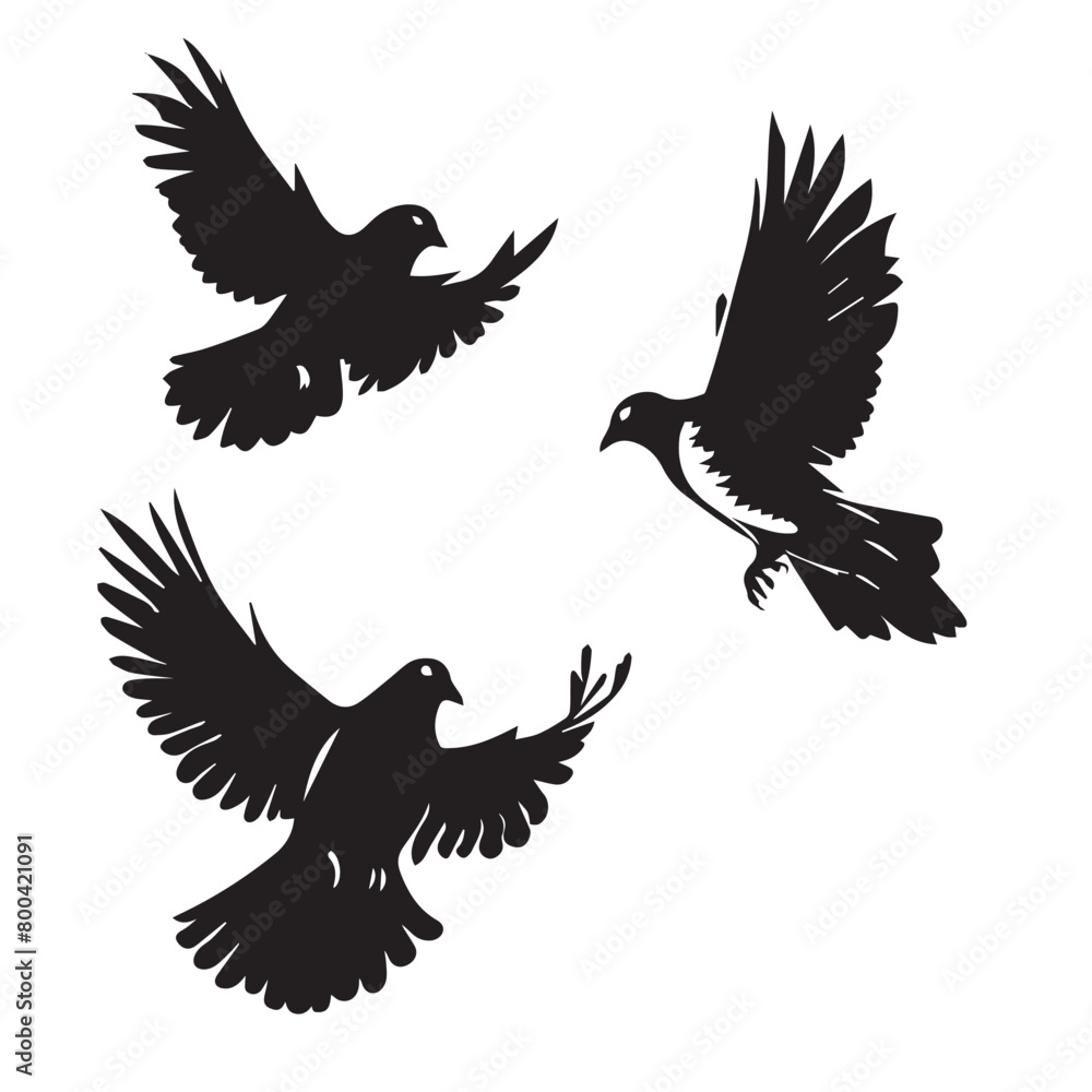 set of birds set of birds