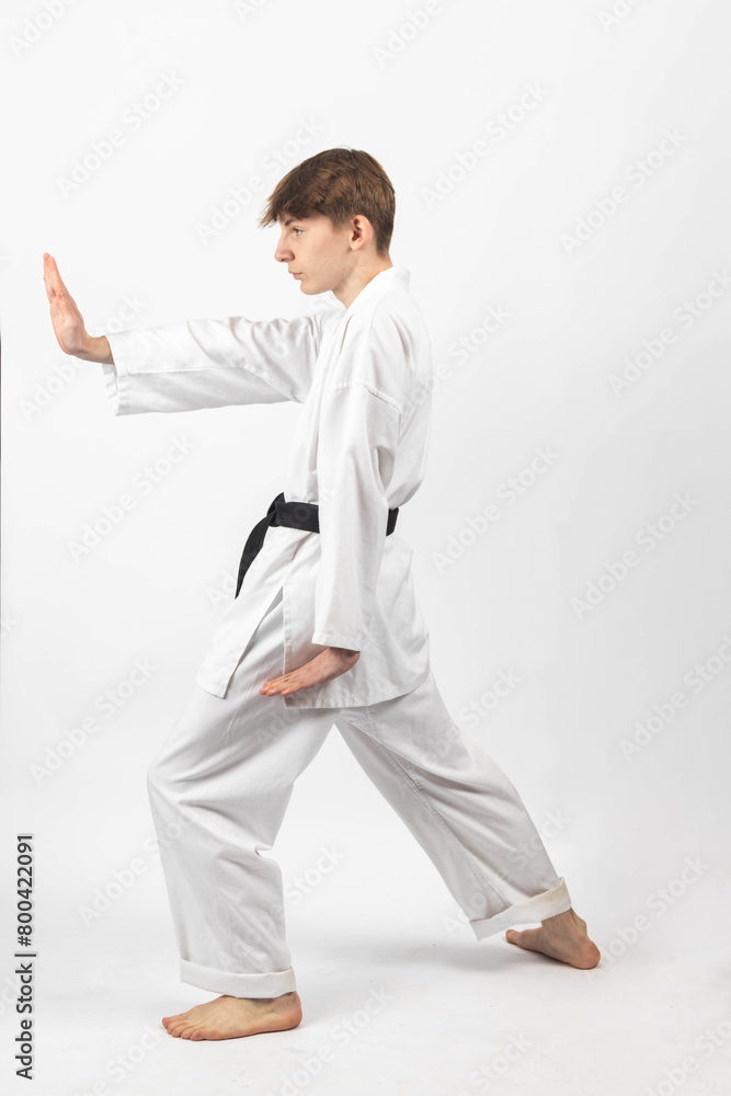 A Teenage Male Karate Black Belt A Teenage Male Karate Black Belt