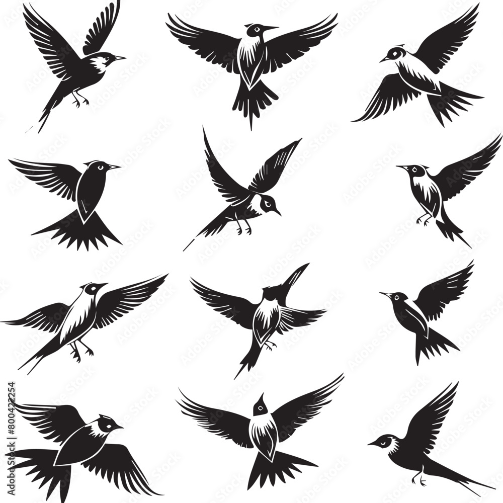set of birds set of birds