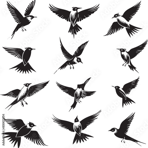 set of birds