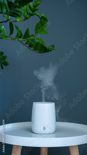 Εκτύπωση καμβά Aromatherapy diffuser for the room stands on the table