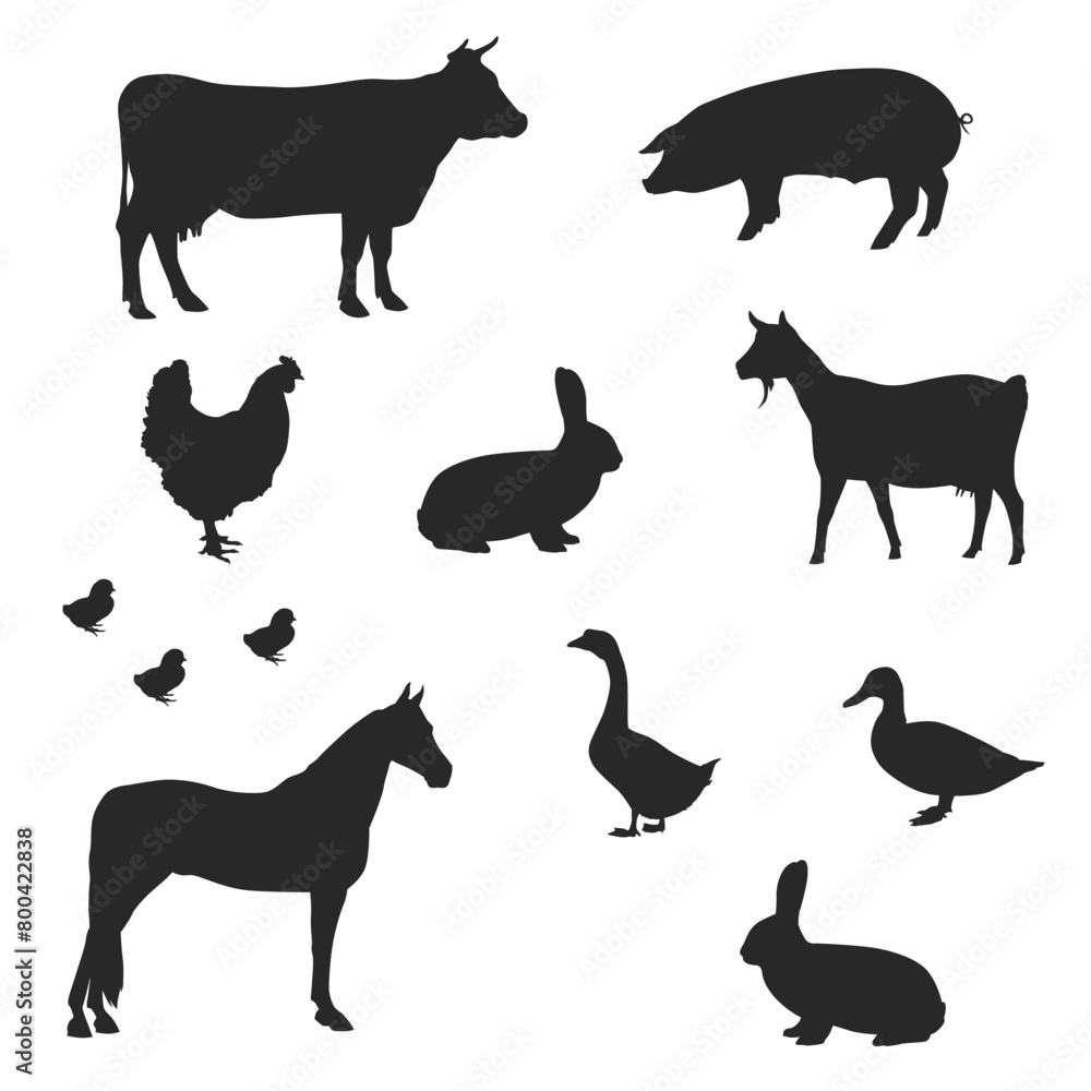 Vector Farm Animals Silhouettes Isolated on White. different farm animals, a series composed of black silhouettes and another without a background with white outlines.

