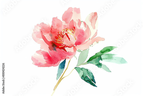 Minimalistic watercolor of a Peony on a white background  cute and comical.