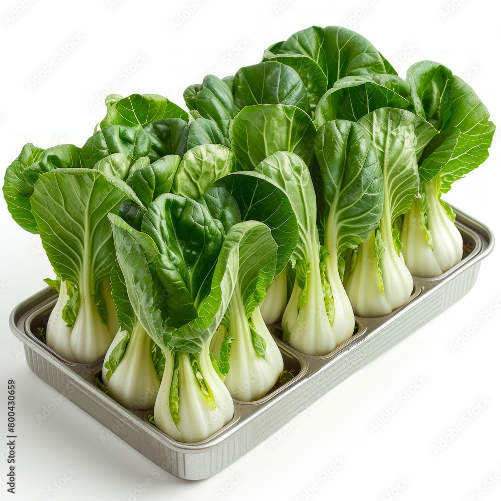 Bok Choy in Metal Tray. Generative ai Bok Choy in Metal Tray. Generative ai