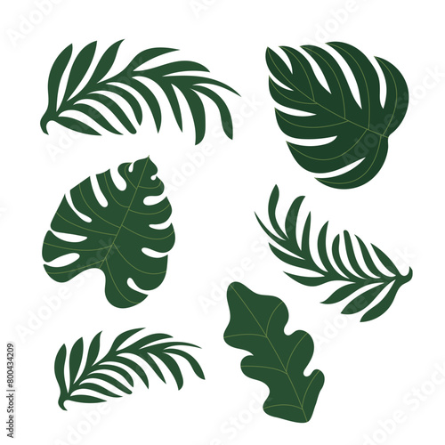 Jungle leaves. Cartoon different tropical plants. Palm, banana, monstera. Vector set. Botanical green foliage elements. Summer paradise exotic leaf on white background. 