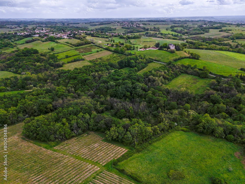 Aerial view of Bordeaux vineyard at spring under cloudy sky, Rions, Gironde, France. High quality photo