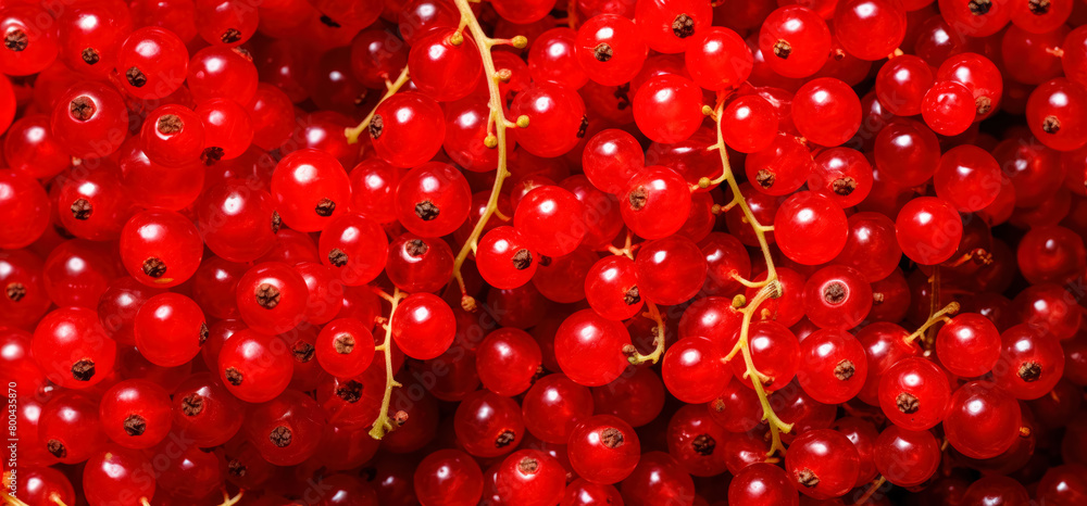 Fresh red currant fruit, closeup macro detail from above. Generative AI Fresh red currant fruit, closeup macro detail from above. Generative AI