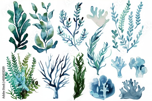 a bunch of watercolor seaweed and corals on a white background