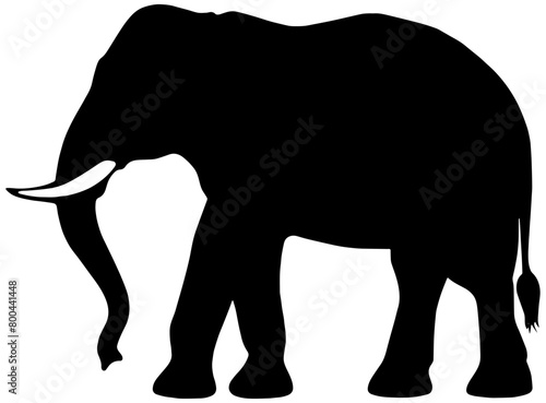 Elephant silhouette in black  isolated 