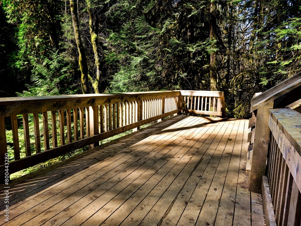 Concept Design of Bridge and Stairs at The Benson Creek Falls Regional Park, Nanaimo, British Colombia, Canada Concept Design of Bridge and Stairs at The Benson Creek Falls Regional Park, Nanaimo, British Colombia, Canada