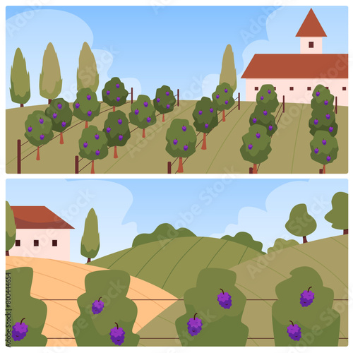 Vineyard landscapes and farmhouse vector set