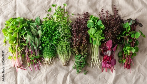 Various greens displayed on table for art event showcasing natural foods
