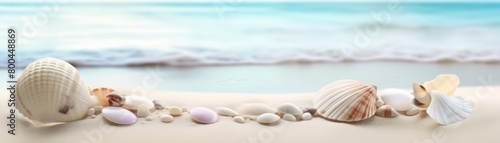 A beautiful day at the beach. Shells and pebbles on sand with the ocean in the background.