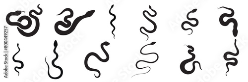 Collection of snake silhouettes isolated. Silhouette of snakes. Hand drawn vector art.