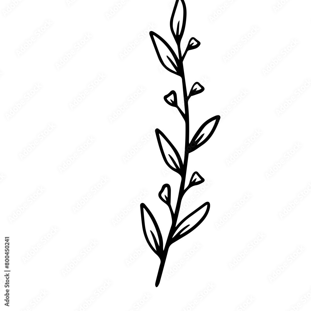 Fototapeta premium hand drawn leaves and flower organic botanical floral element