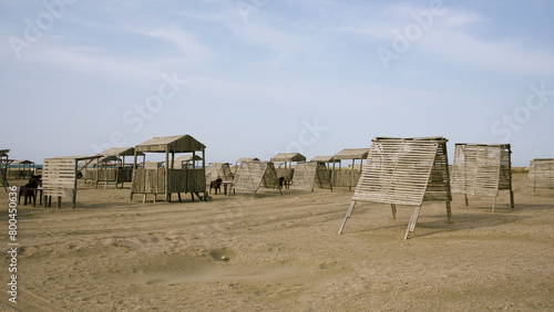 Wooden Drying Racks on a Sandy Beach During a Sunny Afternoon photo