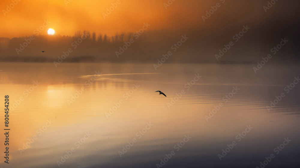 Fototapeta premium Bird flying over peaceful lake at sunset