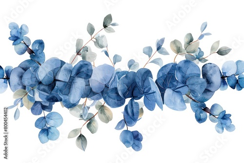 watercolored blue eucalyptus branch illustration on a white background photo