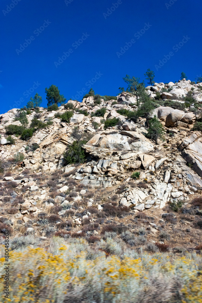 Conifers and other drought-resistant plants grow on the clay and stone rocks of the mountain at the pass in the Sierra Nevada Mountains, California, USA Conifers and other drought-resistant plants grow on the clay and stone rocks of the mountain at the pass in the Sierra Nevada Mountains, California, USA