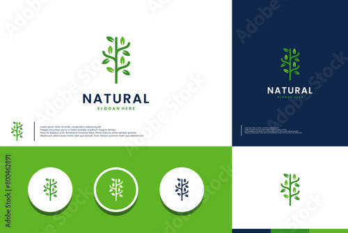 tree branch logo, natural growth symbol, logo design template.
