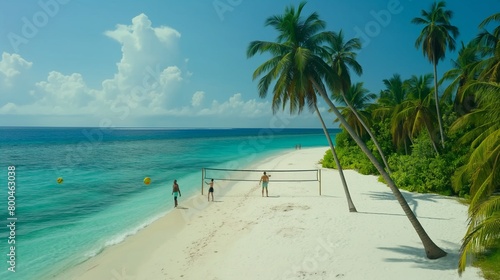  A multigenerational family playing beach volleyball on a pristine  white-sand island  framed by lush green palm trees and crystal-clear turquoise waters