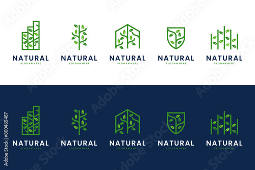 Natural tree collection, to symbolize growth and security, agricultural infestation, logo design template.