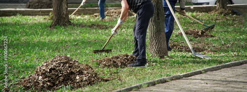 People rake and clean up dry leaves in a spring park. Garbage collection - Saturday cleanup day. Municipal improvement. Communal services. Photo. Without a face. Web banner